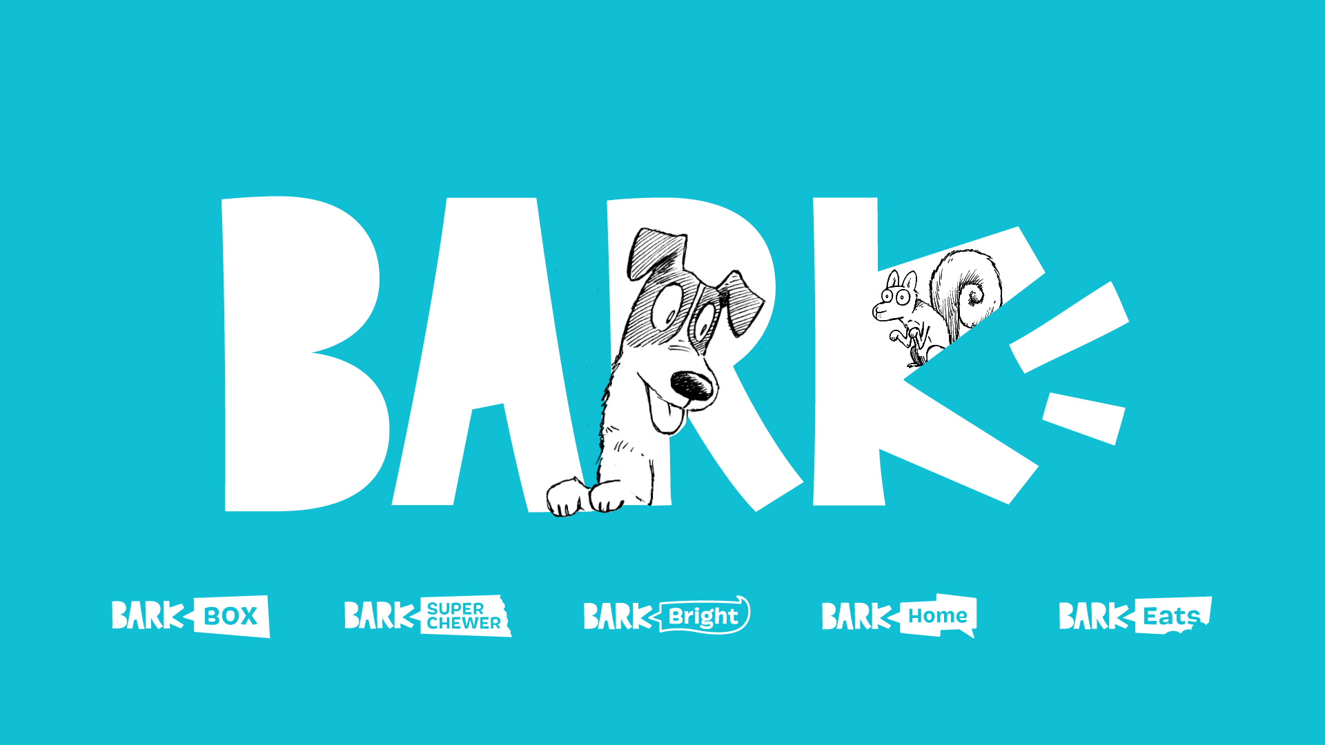 BARK Brand & IPO