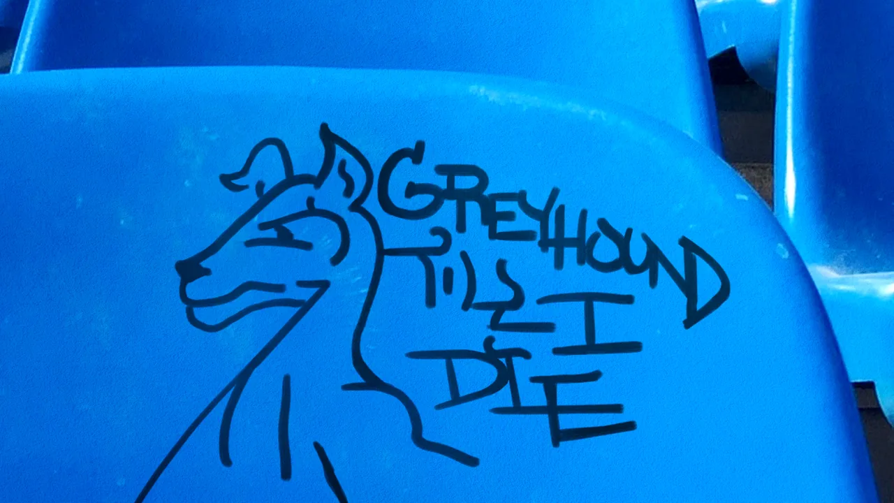 Greyhound Til I Die fan art on a stadium seat