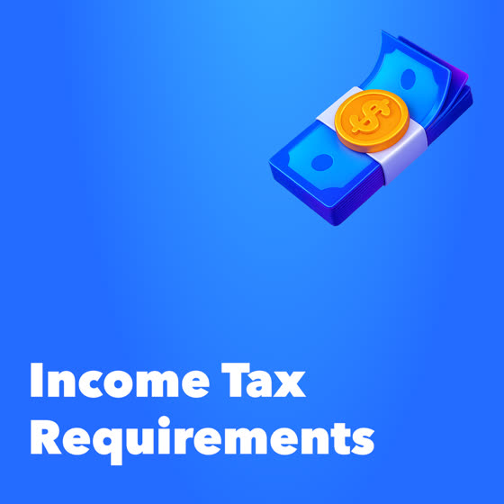 Income tax requirements